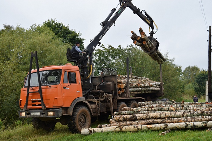 В 2023 году в Кировской области прогнозируют поступление 1,4 млрд рублей доходов от использования лесов.